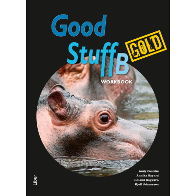 Good Stuff Gold B Workbook - Tryckt form
