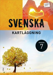 Kartläggning svenska