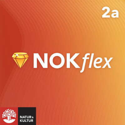 NOKflex Matematik 5000 Kurs 2a Röd & Gul.