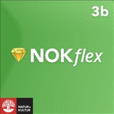 NOKflex Matematik 5000 Kurs 3b Grön.