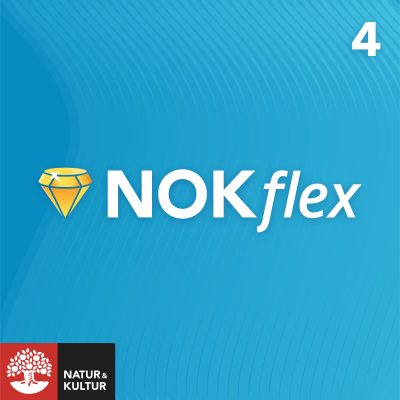 NOKflex Matematik 5000 Kurs 4 Blå.