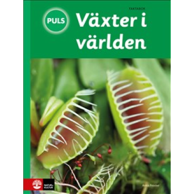 Närbild på Venus Fly Trap.