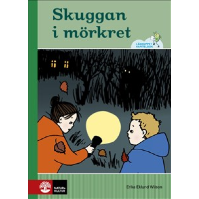 Omslagsbild Skuggan i mörkret