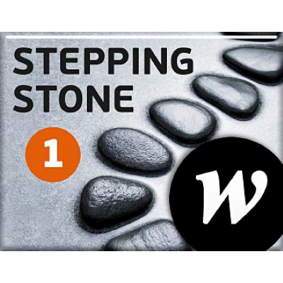 Omslagsbild Stepping Stone 1 Elevwebb