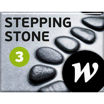 Omslagsbild Stepping Stone 3 Elevwebb