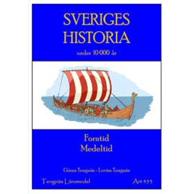 Vikingaskepp på havet.