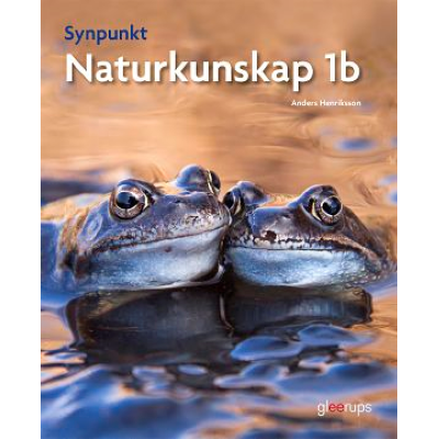 Synpunkt 1b.