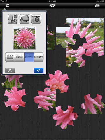 Till vänster en bild på en blomma. Till höger lösa pusselbitar som föreställer olika delar av blomman.