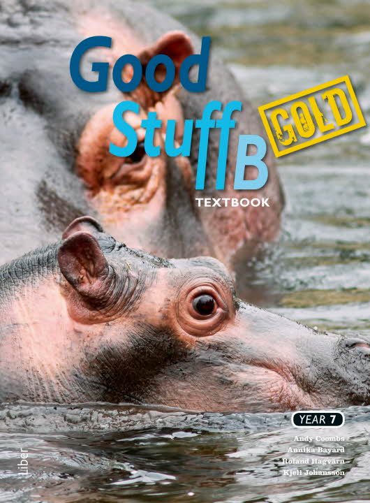 Omslagsbild för Good Stuff Gold B Textbook
